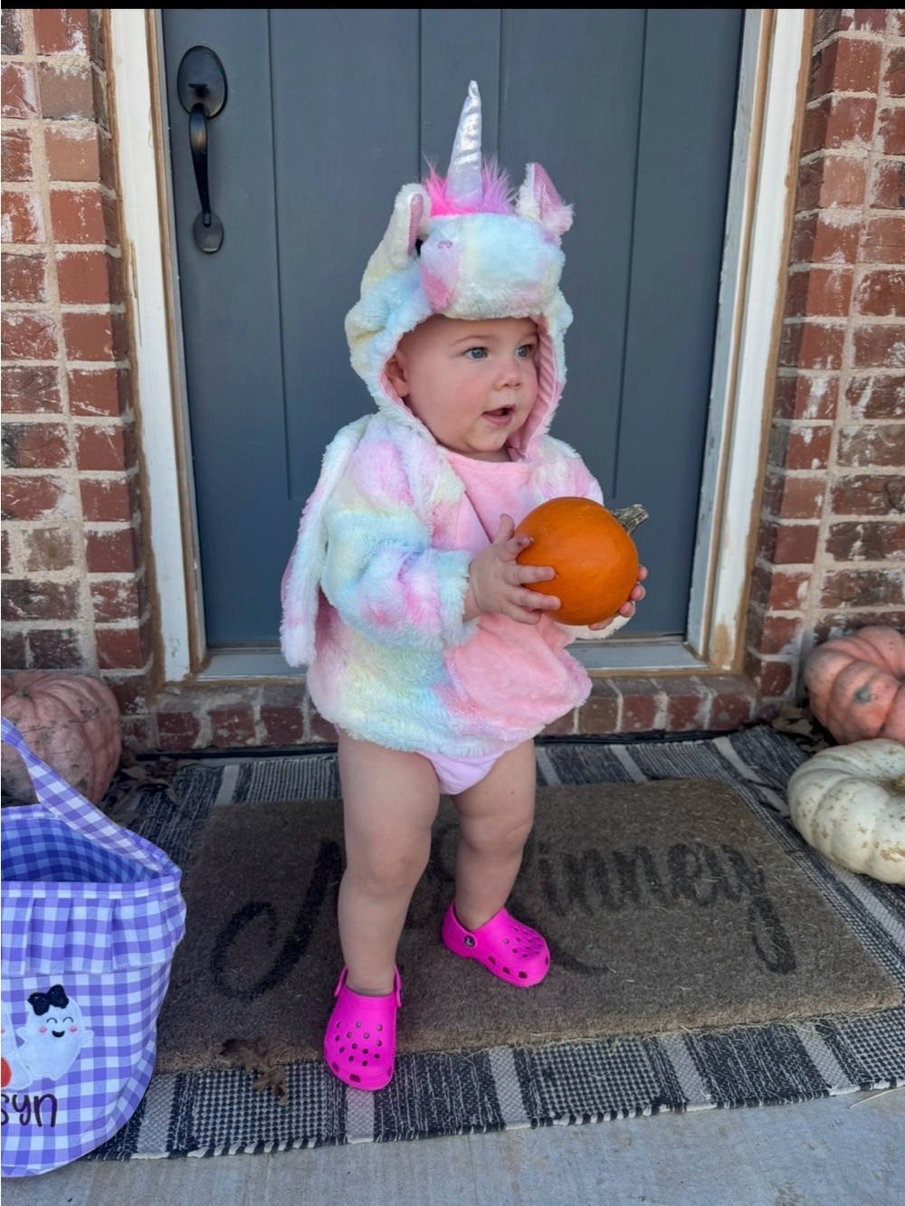 Pastel Unicorn/pegasus Kids Costume - Plush Multicolor